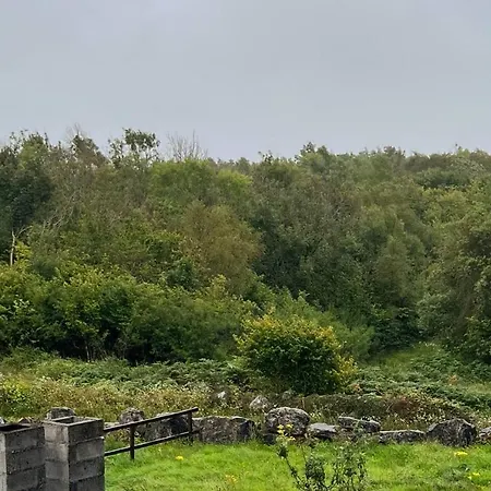 Rinneen 펜션 Newtown (Galway)